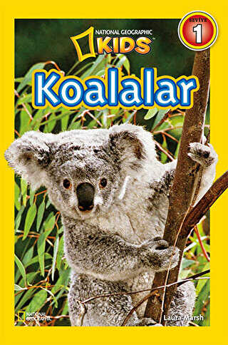 Koalalar - Seviye 1