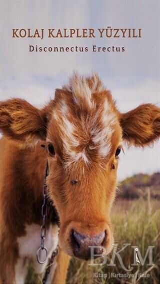 Kolaj Kalpler Yüzyılı - İkinci Adam Yayınları