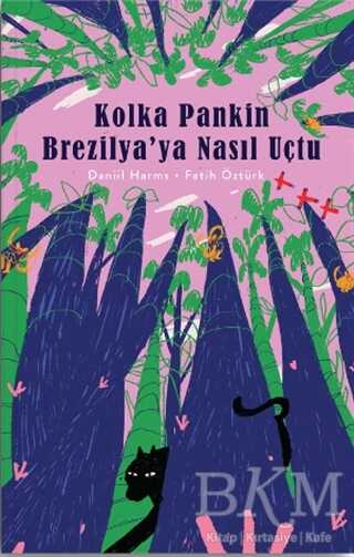 Kolka Pankin Brezilya’ya Nasıl Uçtu - Nesin Yayınevi