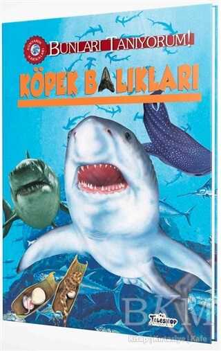 Köpek Balıkları - Bunları Tanıyorum! - Teleskop Popüler Bilim