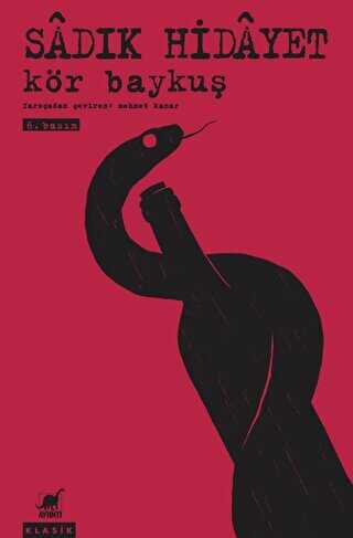 Kör Baykuş - Ayrıntı Yayınları