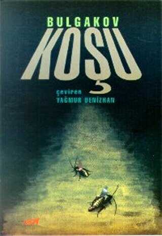 Koşu - Broy Yayınları