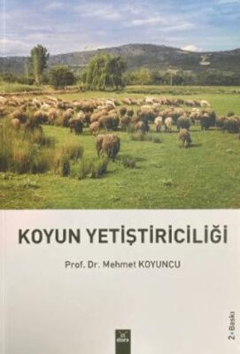 Koyun Yetiştiriciliği - 1