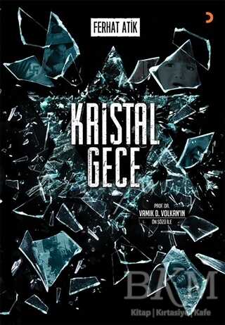Kristal Gece - Cinius Yayınları