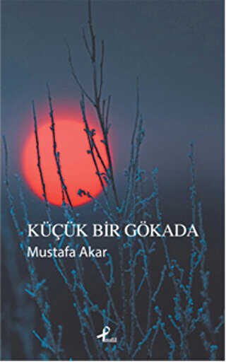 Küçük Bir Gökada - Profil Kitap