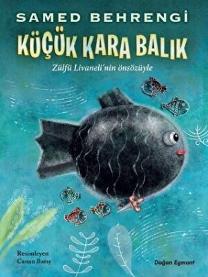 Küçük Kara Balık kapağı
