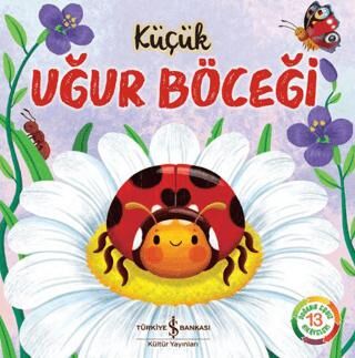 Küçük Uğur Böceği - 1