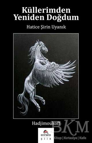 Küllerimden Yeniden Doğdum - Ekinoks Yayın Grubu