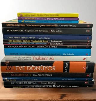 Kültür Araştırma ve Eğitim Seti 17 Kitap kapağı