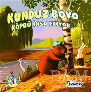 Kunduz Boyo Köprü İnşa Ediyor - Ormandan Hikayeler - Teleskop Popüler Bilim