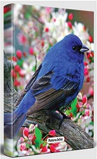 Kuş Bakışı - Süresiz Planlama Defteri - Halk Kitabevi