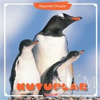 Kutuplar - Hayvanlar Dünyası - Yumurcak Yayınları