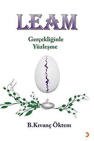 Leam - Gerçekliğinde Yüzleşme - Cinius Yayınları