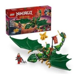Lego Ninjago Lloyd`Un Yeşil Orman Ejderhası 71829 - Lego