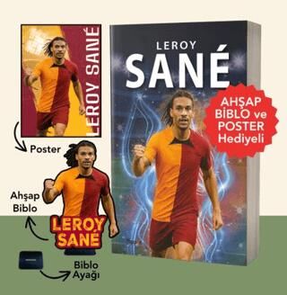 Leroy Sane - 1