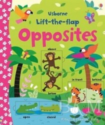 Lift-The-Flap Opposites - Usborne