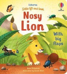 Little Lift and Look Nosy Lion - Usborne