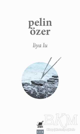 Liya Lu - Ayrıntı Yayınları