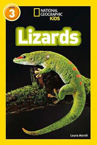 Lizards Readers 3