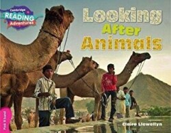 Looking After Animals - Cambridge Yayınları