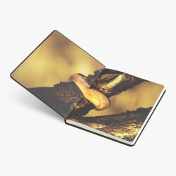 Lord Of The Rings - Haftalık Ajanda - 4