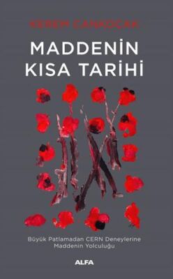 Maddenin Kısa Tarihi - 1