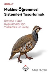 Makine Öğrenmesi Sistemleri Tasarlamak - Buzdağı Yayınevi