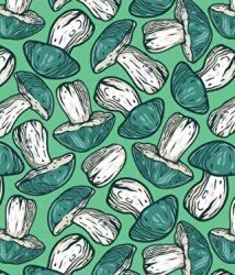 Mantarlar - Hediye Kartı - Muchos