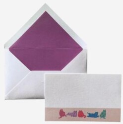 Maritera Cats Tebrik Kartı 10`lu Kutu - Maritera