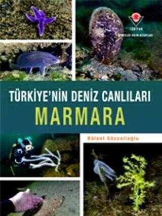 Marmara - Türkiye`nin Deniz Canlıları - TÜBİTAK Yayınları