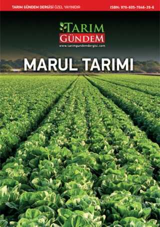 MARUL TARIMI - Tarım Gündem Dergisi