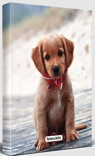 Masum Köpek - Süresiz Planlama Defteri - Halk Kitabevi