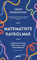 Matematikte Kaybolmak - Alfa Yayınları