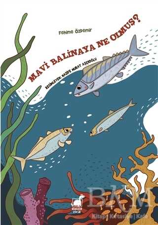 Mavi Balinaya Ne Olmuş? - Dinozor Çocuk