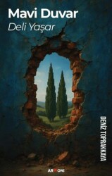 Mavi Duvar - Armoni Yayıncılık