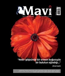 Mavi Gök Kültür Sanat Edebiyat Dergisi Sayı: 7 Mayıs - Haziran 2022 - Mavi Gök Dergisi Yayınları