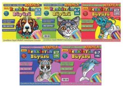 Maxi Renklerin Büyüsü 5`li Set - Maxi Yayıncılık