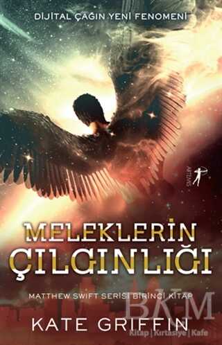 Meleklerin Çılgınlığı - Artemis Yayınları