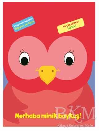 Merhaba Minik Baykuş! - 1