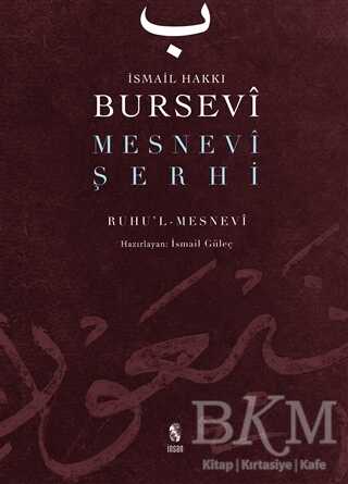 Mesnevi Şerhi - İnsan Yayınları