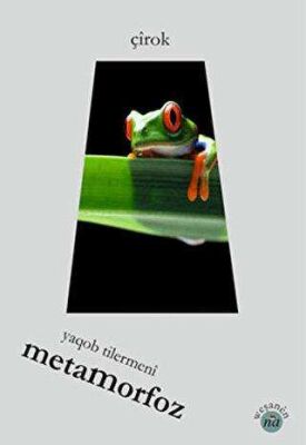 Metamorfoz kapağı