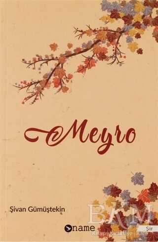 Meyro - Name Yayınları