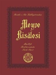 Meyve Risalesi Çanta Boy - Tenvir Neşriyat