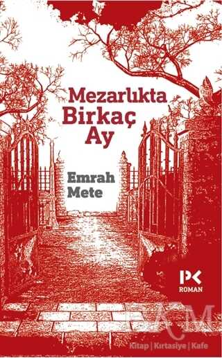 Mezarlıkta birkaç Ay - Profil Kitap