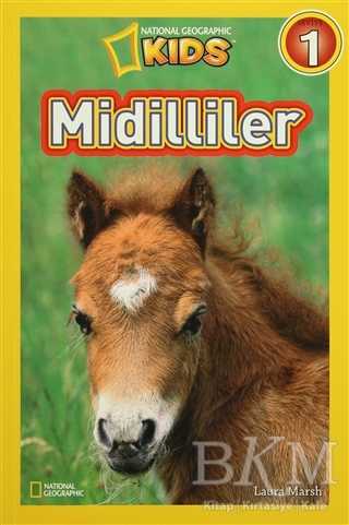 Midilliler - Beta Kids