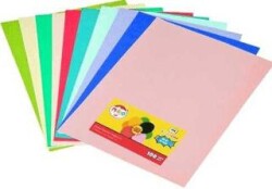 Mileo 1718 Renkli Fotokopi Kağıdı 80gr A4 100lü 10 Karışık Renk - MAS Kırtasiye