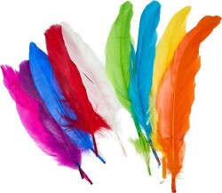 Mileo 1848 Kuş Tüyü - Karma Renkli - 2