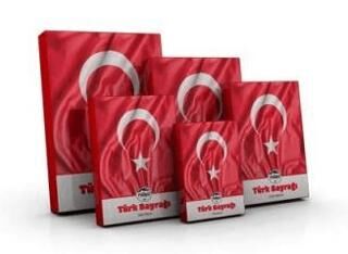 Mileo 1924 Türk Bayrağı 40x60 - 1