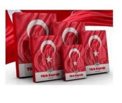 Mileo 1927 Türk Bayrağı 70x105 - MAS Kırtasiye