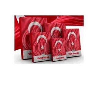 Mileo 1928 Türk Bayrağı 80x120 - 1